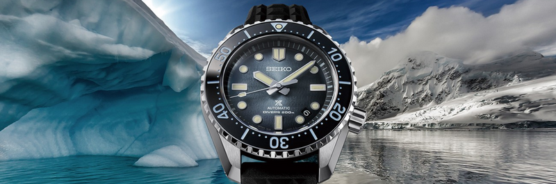 Discover the Allure of a Luxury Watch: Seiko and Beyond