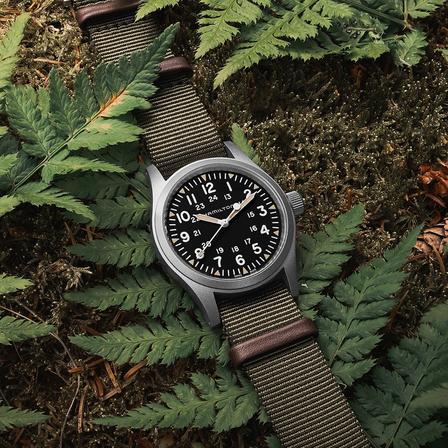Khaki Field