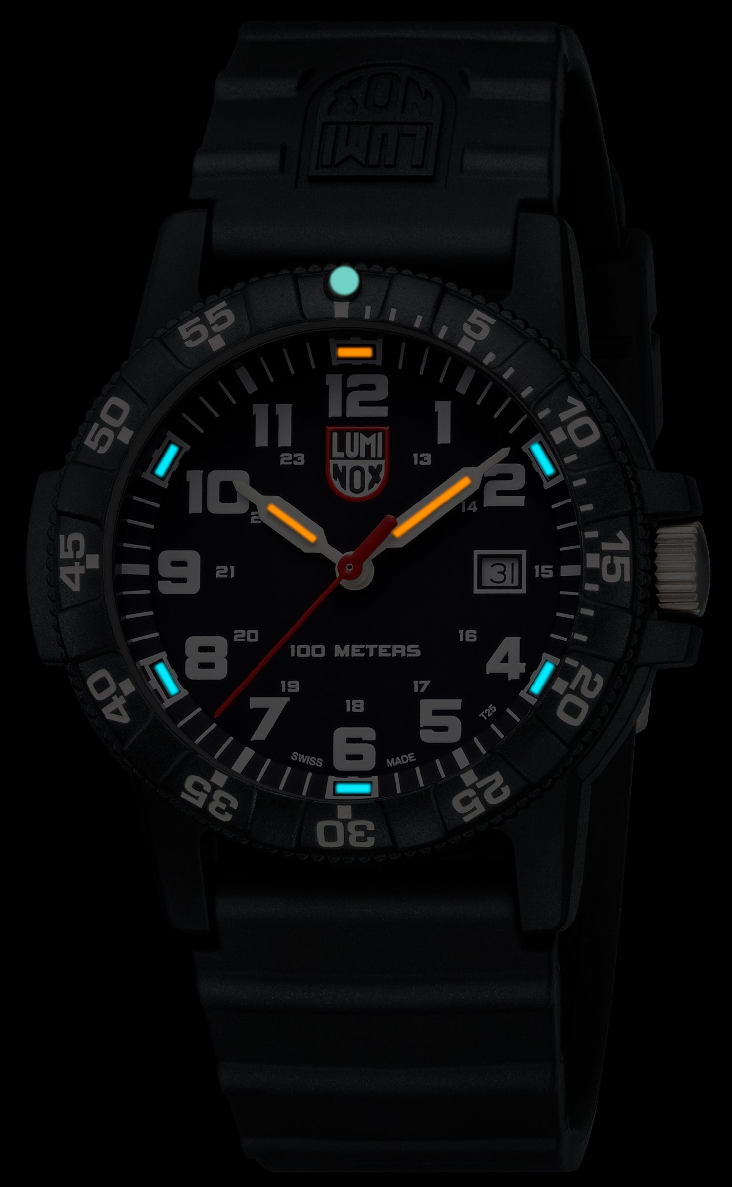 Luminox leatherback sea discount turtle giant 0320 series