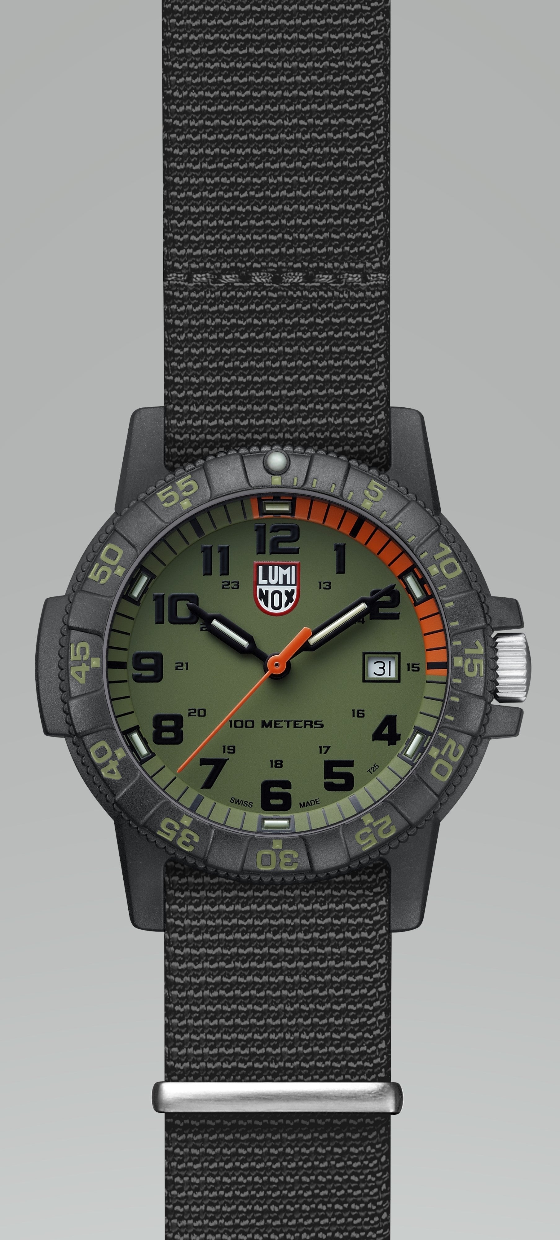 Sea turtle 2025 giant luminox